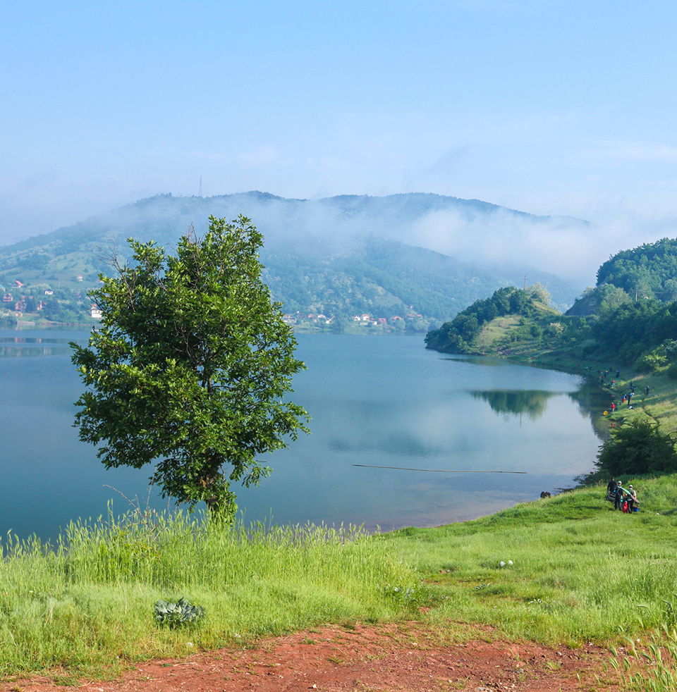 Project 4